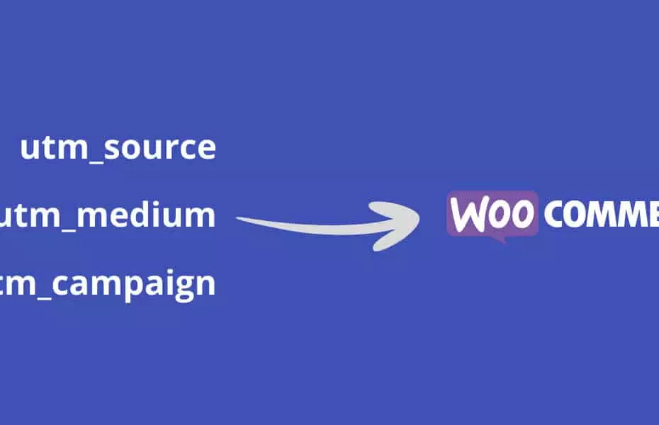 send utm parameters to woocommerce